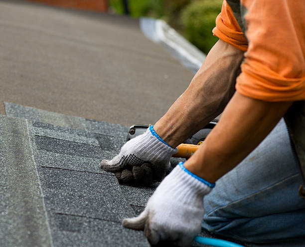 Best Roof Maintenance Services  in Carnation, WA